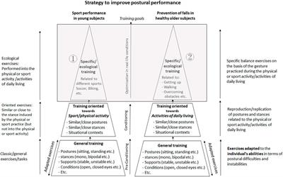 The optimal method for improving postural balance in healthy young and older people: specific training for postural tasks encountered in personal physical practice